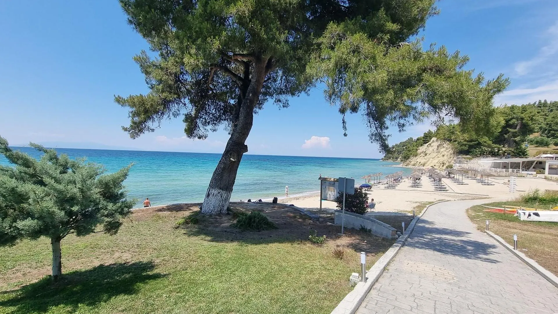 Beachfront Villa 100M From Sea For Up To 10 Guests Siviri