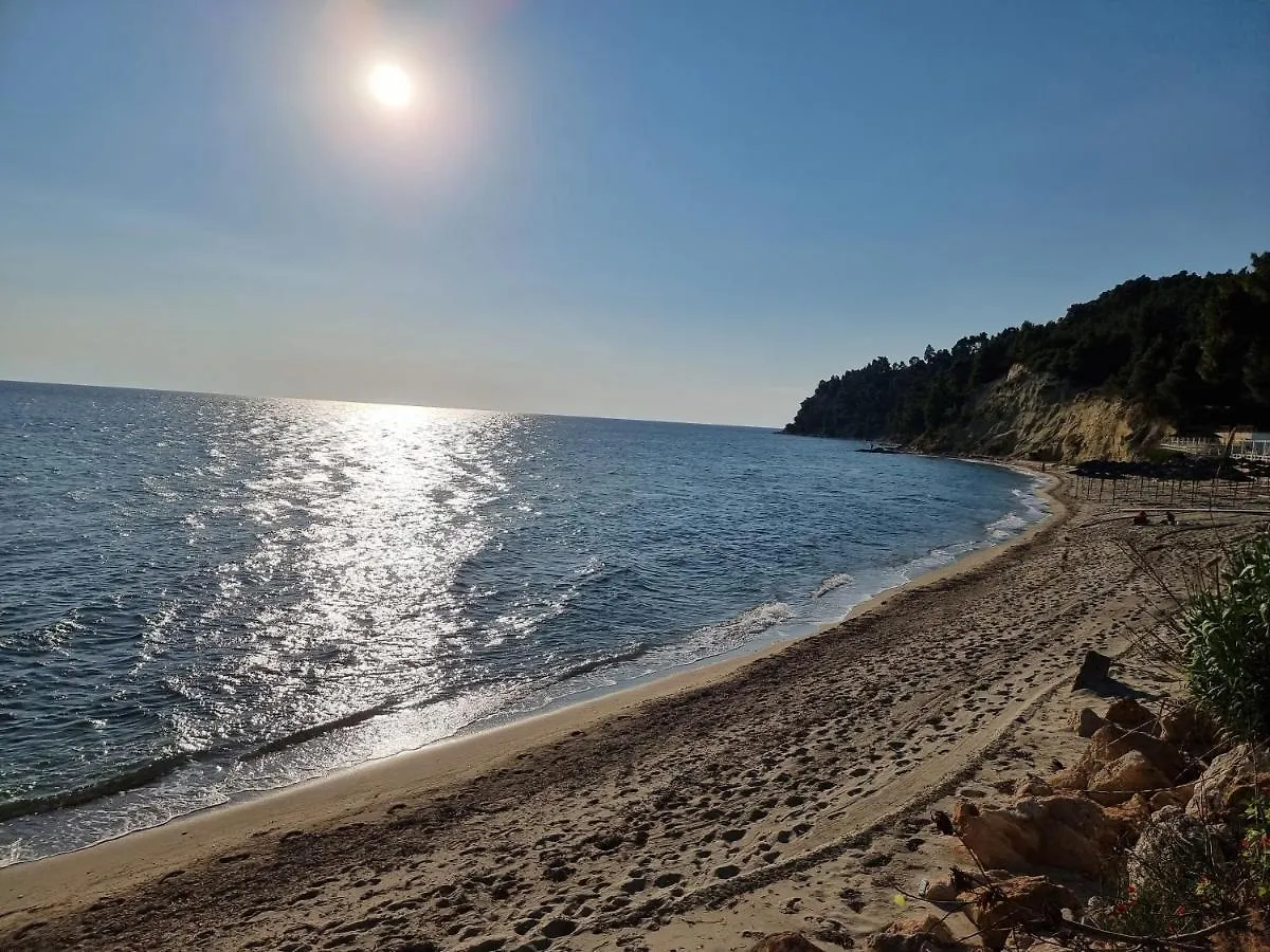 Beachfront Villa 100M From Sea For Up To 10 Guests Siviri 0*,