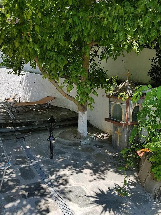 Beachfront Villa 100M From Sea For Up To 10 Guests Siviri