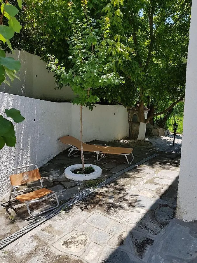 Beachfront Villa 100M From Sea For Up To 10 Guests Siviri
