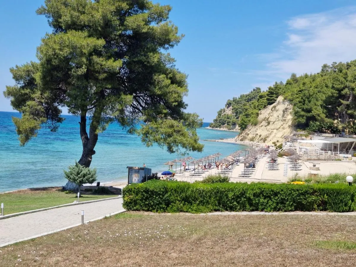 Beachfront Villa 100M From Sea For Up To 10 Guests Siviri