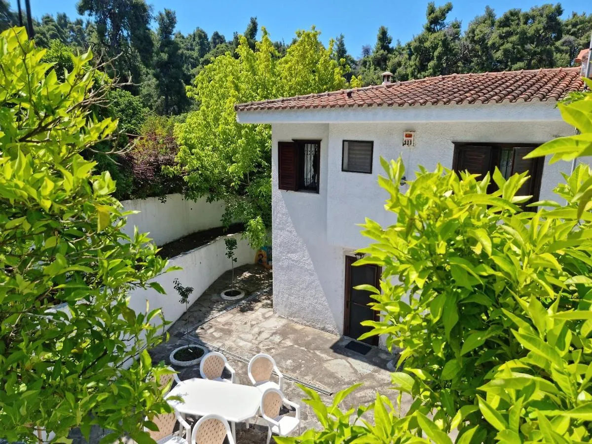 Beachfront Villa 100M From Sea For Up To 10 Guests Siviri Greece